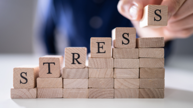 Mindfulness e Cognição: Exercícios para Estresse e Concentração (2026)