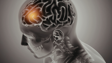 Alimentos para o Cérebro: O Guia Completo de 2026 com 7 Opções que Turbinam sua Capacidade Cognitiva e Previnem o Declínio