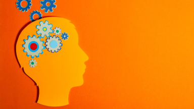 Suplementos para o Cérebro: Análise Crítica dos 3 Mais Populares em 2026 e Seus Reais Benefícios para a Cognição