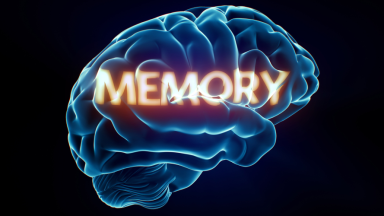 Desafios Cognitivos Digitais: 5 Jogos e Aplicativos Testados em 2026 para Treinar sua Memória e Raciocínio